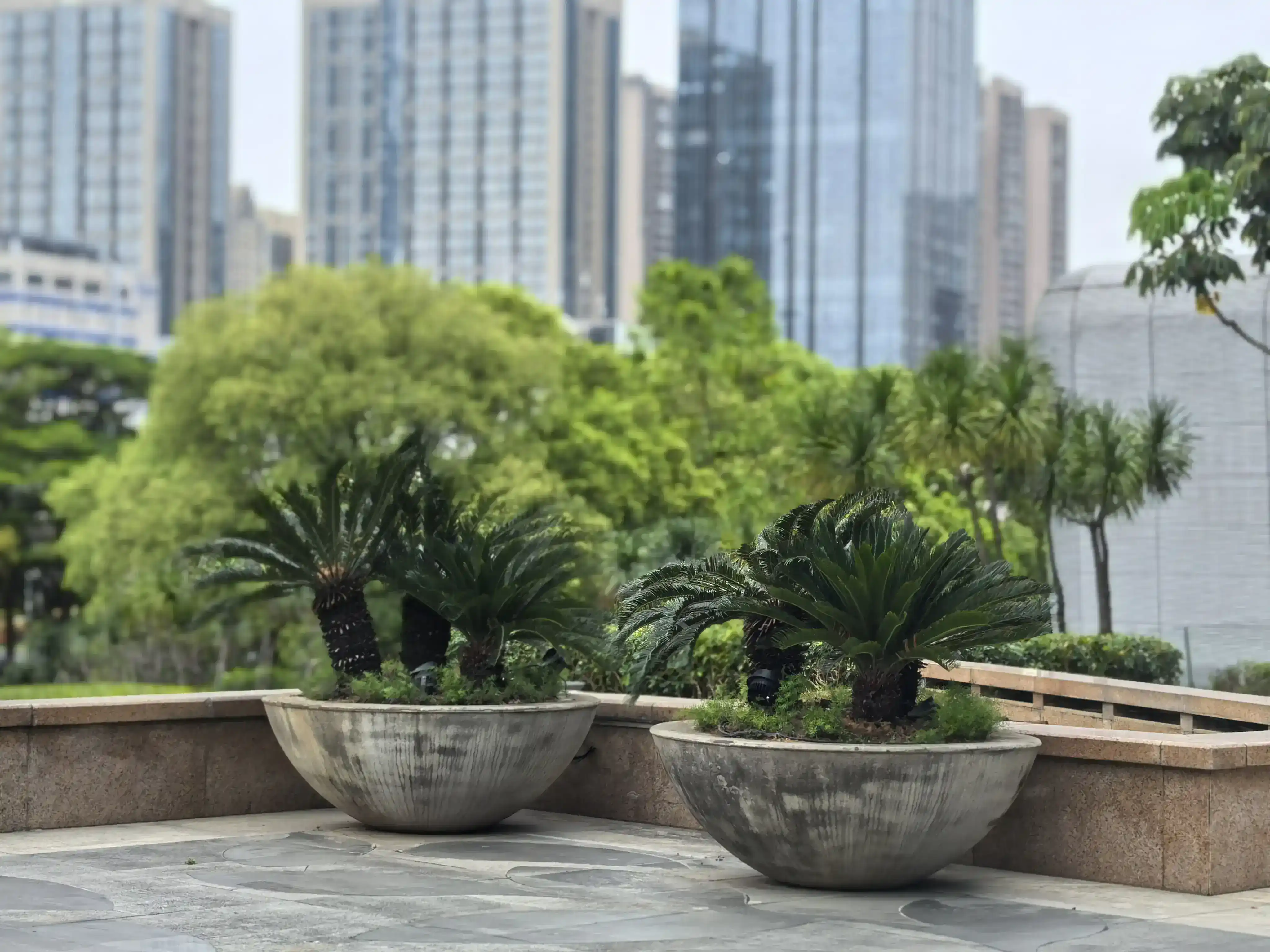 Large engineering grade GRC concrete planter bowl for commercial landscaping at a hotel entrance